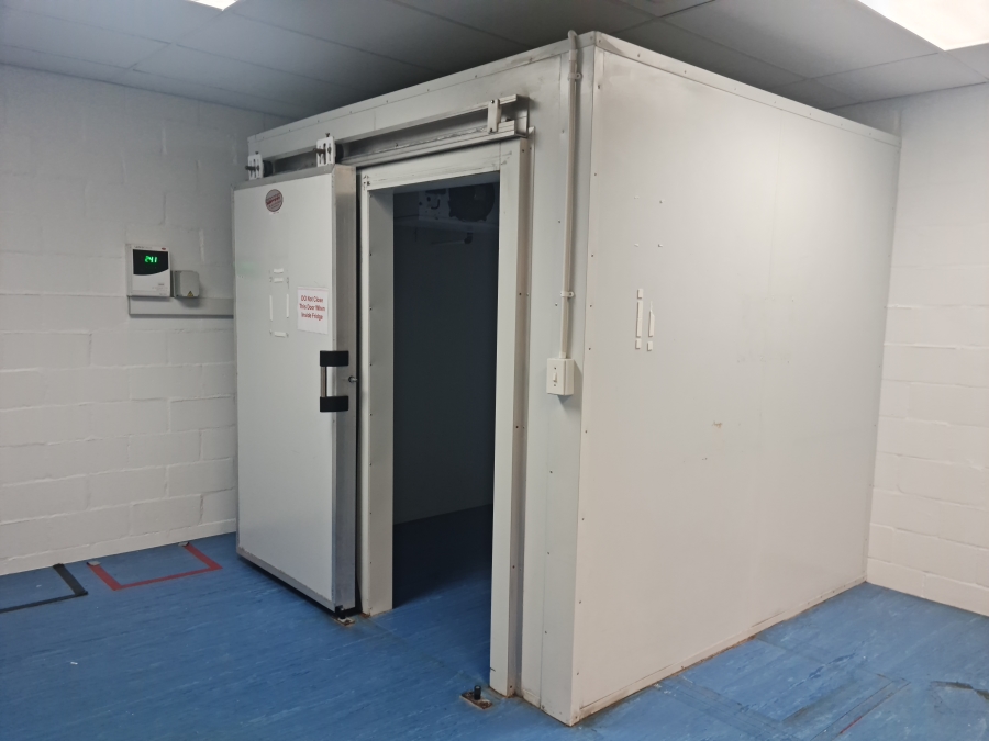 To Let commercial Property for Rent in Firgrove Western Cape